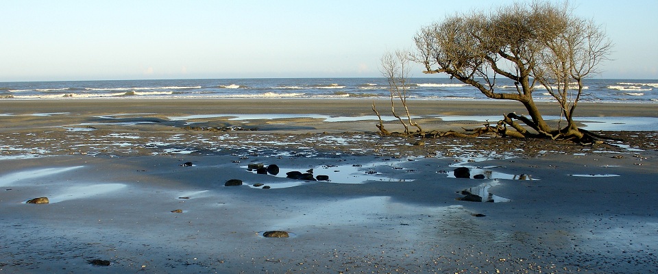 Pre-Nourishment Beach